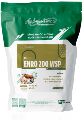 ENRO 200 WSP 1 – Điều trị viêm phổi, tụ huyết trùng, crd, ccrd điều trị thương hàn, e.coli, bại huyết trên vịt