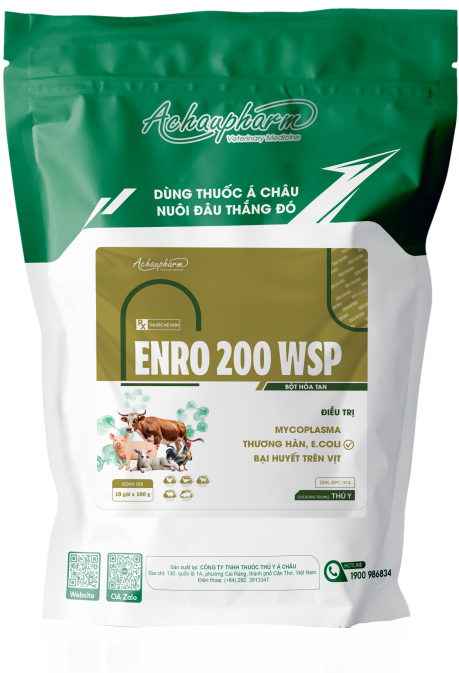 ENRO 200 WSP 1 - Điều trị viêm phổi, tụ huyết trùng, crd, ccrd điều trị thương hàn, e.coli, bại huyết trên vịt
