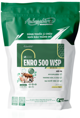ENRO 500 WSP – Điều trị thương hàn, e.coli, bại huyết trên vịt điều trị viêm phổi, thương hàn, tụ huyết trùng điều
