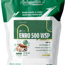 ENRO 500 WSP – Điều trị thương hàn, e.coli, bại huyết trên vịt điều trị viêm phổi, thương hàn, tụ huyết trùng điều