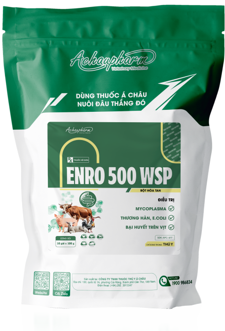 ENRO 500 WSP - Điều trị thương hàn, e.coli, bại huyết trên vịt điều trị viêm phổi, thương hàn, tụ huyết trùng điều