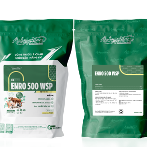 ENRO 500 WSP - Trị nhiễm khuẩn đường tiêu hóa, hô hấp, niệu sinh dục