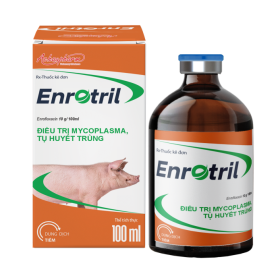 ENROTRIL 100ML – Điều trị mycoplasma, tụ huyết trùng điều trị bệnh suyễn lợn, crd