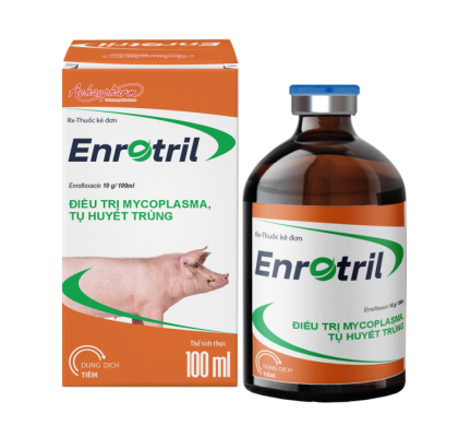ENROTRIL 100ML – Điều trị mycoplasma, tụ huyết trùng điều trị bệnh suyễn lợn, crd