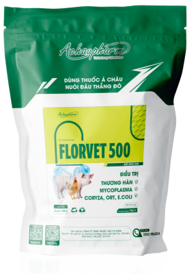 FLORVET 500 – ĐIỀU TRỊ THƯƠNG HÀN, VIÊM PHỔI ĐIỀU TRỊ THƯƠNG HÀN, MYCOPLASMA, E.COLI Trong suốt quá trình điều