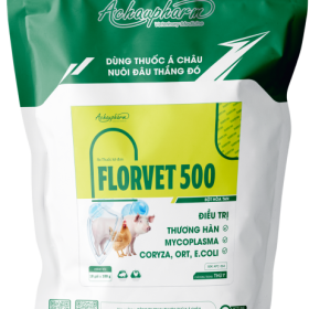 FLORVET 500 – ĐIỀU TRỊ THƯƠNG HÀN, VIÊM PHỔI ĐIỀU TRỊ THƯƠNG HÀN, MYCOPLASMA, E.COLI Trong suốt quá trình điều
