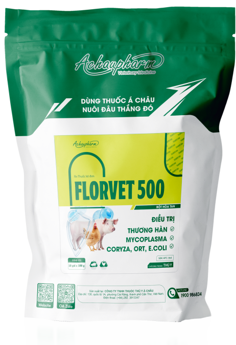 FLORVET 500 - ĐIỀU TRỊ THƯƠNG HÀN, VIÊM PHỔI ĐIỀU TRỊ THƯƠNG HÀN, MYCOPLASMA, E.COLI Trong suốt quá trình điều