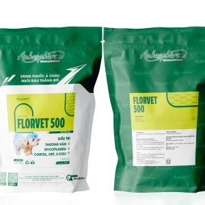 FLORVET 500 - Trị nhiễm khuẩn đường hô hấp, đường tiêu hóa