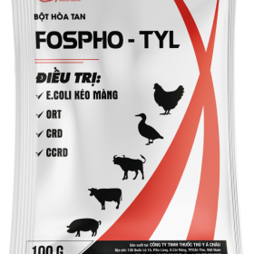 FOSPHO TYL – Điều trị E.coli kéo màng, CRD, CCRD, ORT trên gia cầm, trâu, bò, heo