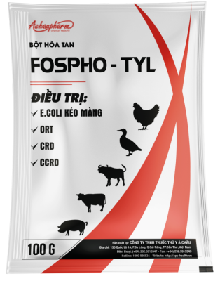 FOSPHO TYL – Điều trị E.coli kéo màng, CRD, CCRD, ORT trên gia cầm, trâu, bò, heo