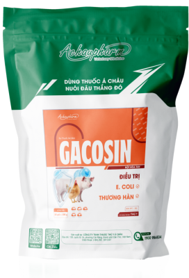 GACOSIN – Điều trị E.coli, thương hàn trên gia cầm, heo, bê, cừu, dê