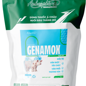 GENAMOX – Điều trị E.coli, thương hàn trên gia cầm