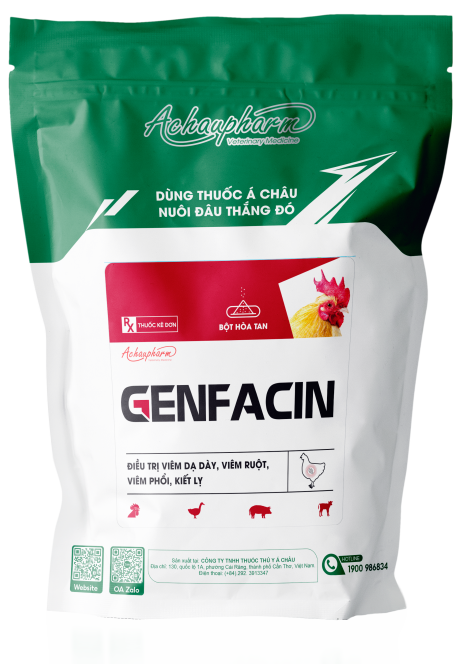 GENFAXIN - Kháng sinh đặc trị viêm dạ dày, viêm ruột, viêm phổi, kiết lỵ do Colibacillosis cho heo, bê nghé, gia