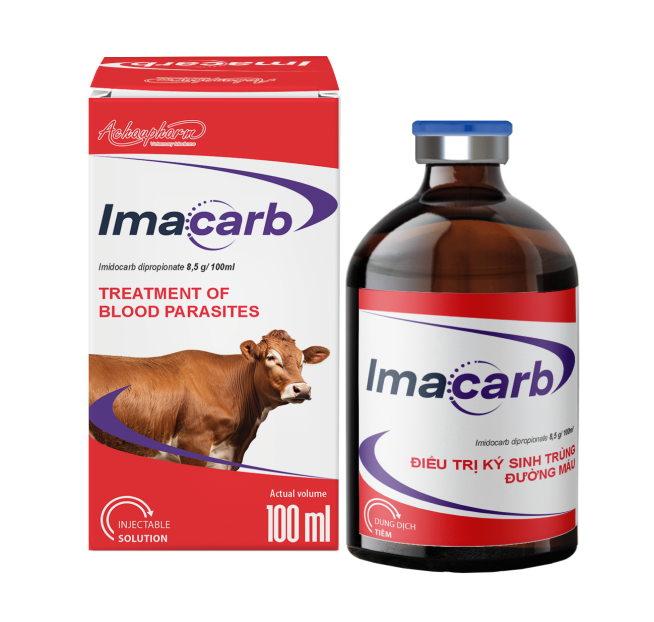 IMACARB 100ML - Thuốc tiêm đặc trị ký sinh trùng đường máu (babesiosis, anaplasmosis) cho trâu, bò, cừu, ngựa, chó