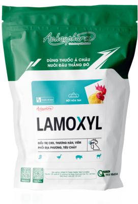 LAMOXYL – Điều trị crd, thương hàn, viêm phổi địa phương, tiêu chảy điều trị viêm teo mũi, hen gà, suyễn lợn sưng
