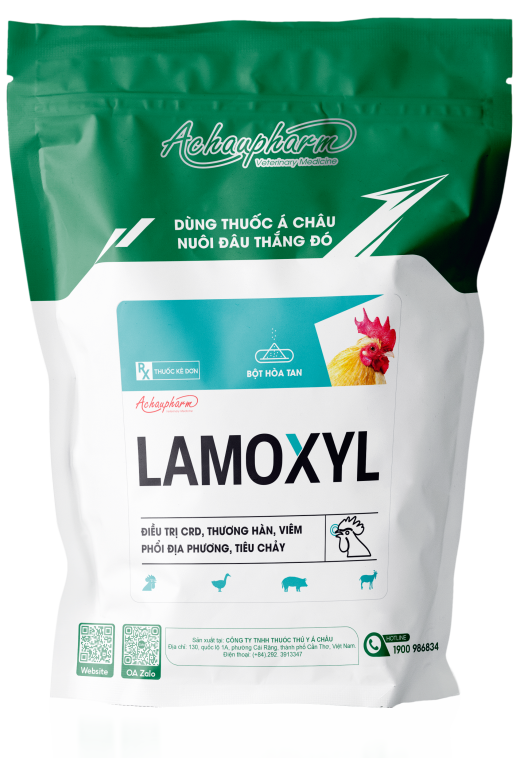 LAMOXYL - Điều trị crd, thương hàn, viêm phổi địa phương, tiêu chảy điều trị viêm teo mũi, hen gà, suyễn lợn sưng