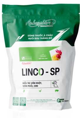 LINCO SP – + Điều trị bệnh hô hấp mãn tính, viêm phổi, tụ huyết trùng: 1 g/ 1,5 lít nước uống. thể trọng. – Heo: 1