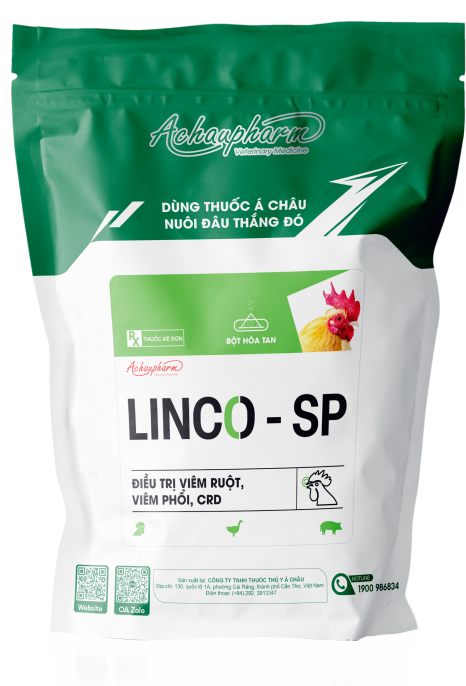 LINCO SP - + Điều trị bệnh hô hấp mãn tính, viêm phổi, tụ huyết trùng: 1 g/ 1,5 lít nước uống. thể trọng. - Heo: 1