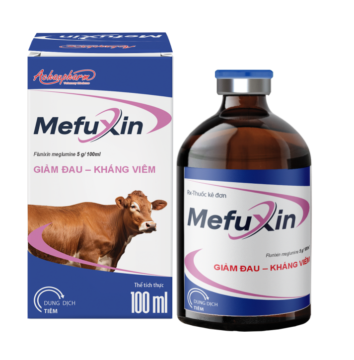 MEFUXIN 100ML - Giảm đau – Kháng viêm