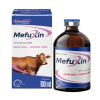 MEFUXIN 100ML - Giảm đau – kháng viêm