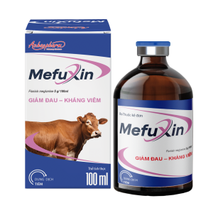 MEFUXIN 100ML - Giảm đau – kháng viêm