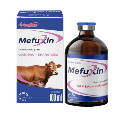 MEFUXIN 100ML – Giảm đau – kháng viêm