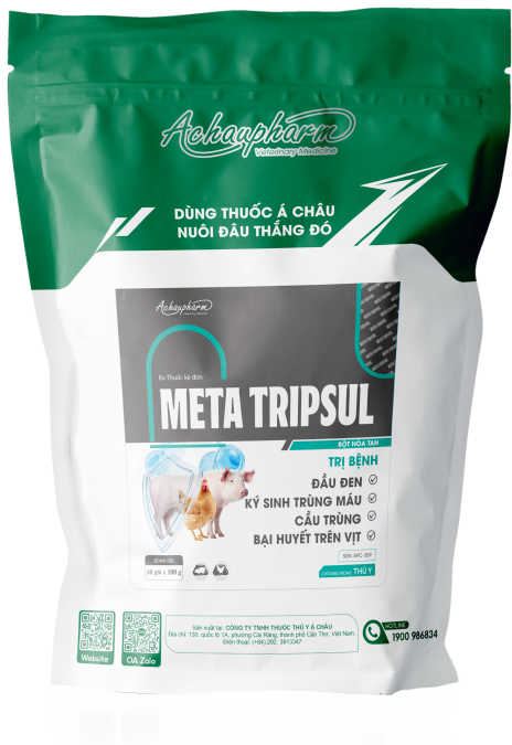 META TRIPSUL - Trị bệnh đầu đen, cầu trùng, bại huyết trên vịt