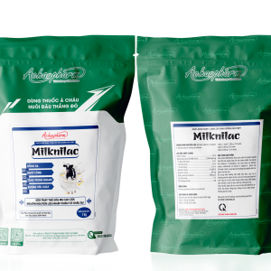 MILKNILAC (BÒ) 1KG - Thay thế sữa mẹ, tăng sữa trên bò sữa kém sữa, giúp tập ăn cho bê, nghé, dê non, cừu con