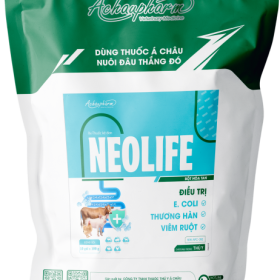 NEOLIFE – Điều trị viêm ruột – Tiêu chảy, thương hàn điều trị app. Trên heo, crd, ccrd điều trị mycoplasma, tiêu