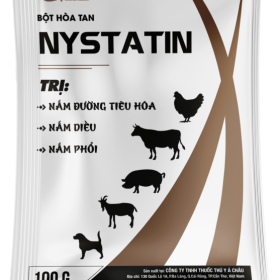 NYSTATIN – Điều trị viêm phổi, hen suyễn