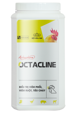 OCTACLINE 10 GOI X 100 G – Điều trị viêm dạ dày, viêm ruột, viêm phổi, kiết lỵ điều trị viêm dạ dày – Ruột, bệnh