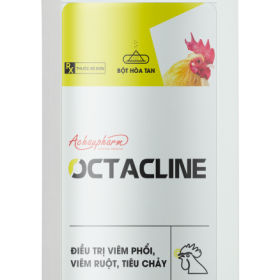 OCTACLINE 10 GOI X 100 G – Điều trị viêm dạ dày, viêm ruột, viêm phổi, kiết lỵ điều trị viêm dạ dày – Ruột, bệnh