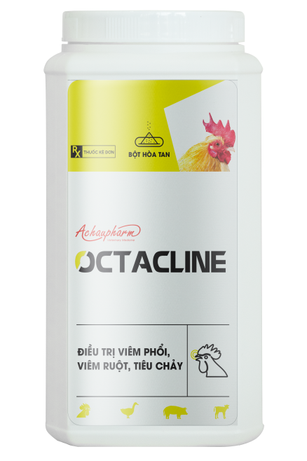 OCTACLINE 10 GOI X 100 G - Điều trị viêm dạ dày, viêm ruột, viêm phổi, kiết lỵ điều trị viêm dạ dày - Ruột, bệnh
