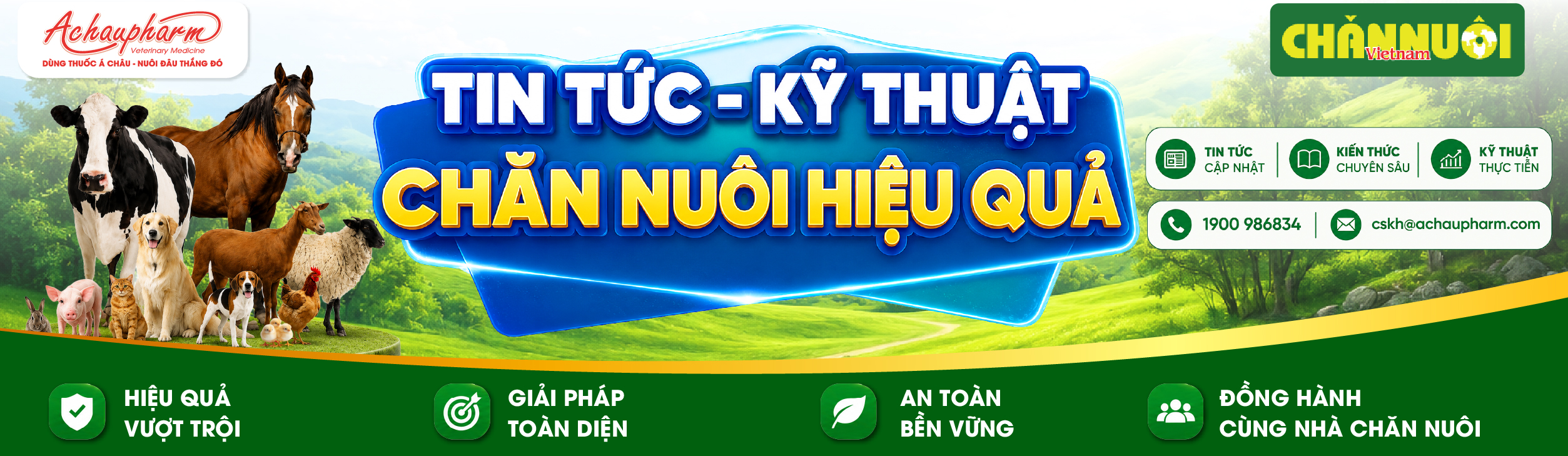 Talkshow Kỹ Thuật Định Kỳ