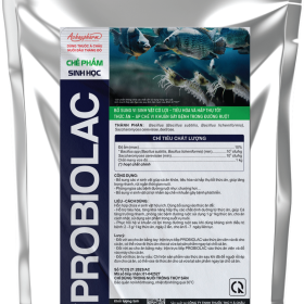 PROBIOLAC – Vi sinh sống cho hệ tiêu hóa