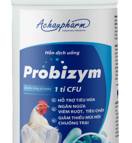PROBIZYM 1L – Hỗ trợ tiêu hóa, ngăn ngừa viêm ruột, tiêu chảy. Đường ruột khỏe mạnh