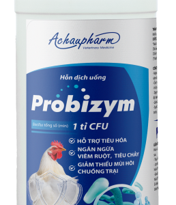 PROBIZYM - Hỗ trợ tiêu hóa, ngăn ngừa viêm ruột, tiêu chảy. Đường ruột khỏe mạnh