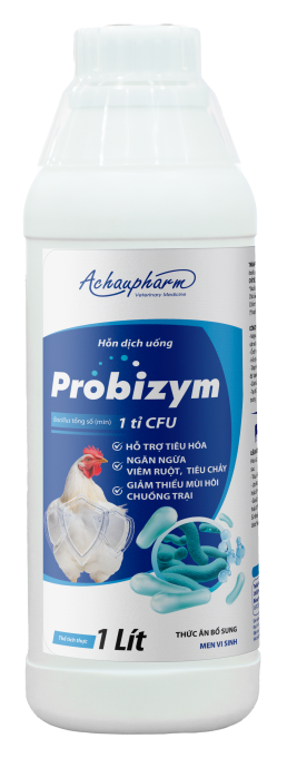 PROBIZYM - Hỗ trợ tiêu hóa, ngăn ngừa viêm ruột, tiêu chảy. Đường ruột khỏe mạnh