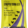 STREPTO-TERRA - Trị toi - thương hàn, tụ huyết trùng, viêm phổi