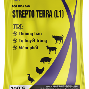 STREPTO-TERRA - Trị toi - thương hàn, tụ huyết trùng, viêm phổi