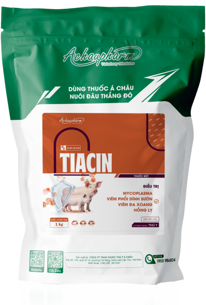 TIACIN - Điều trị Mycoplasma, viêm phổi dính sườn, hồng lỵ trên heo, gia cầm