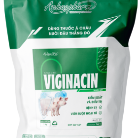 VIGINACIN – Kháng sinh kiểm soát, điều trị bệnh lỵ, viêm ruột hoại tử, trị nấm phổi, nấm diều, nấm đường tiêu hóa