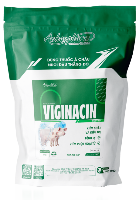 VIGINACIN - Kháng sinh kiểm soát, điều trị bệnh lỵ, viêm ruột hoại tử, trị nấm phổi, nấm diều, nấm đường tiêu hóa