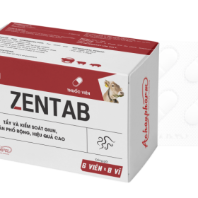 ZENTAB – Trị sán lá gan, sán dây, giun tròn