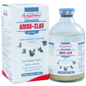 AMOX CLAV 1 – Điều trị viêm vú gây mất sữa, viêm tử cung điều trị viêm phổi – Viêm vú – Viêm tử cung điều trị