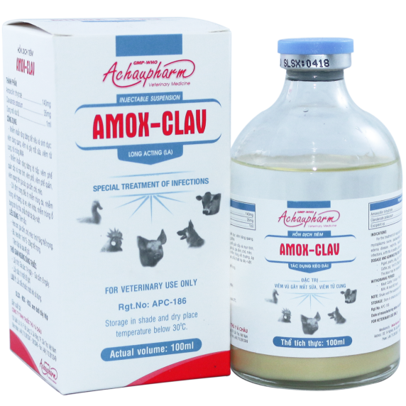 AMOX CLAV - Điều trị viêm vú gây mất sữa, viêm tử cung điều trị viêm phổi – Viêm vú - Viêm tử cung điều trị