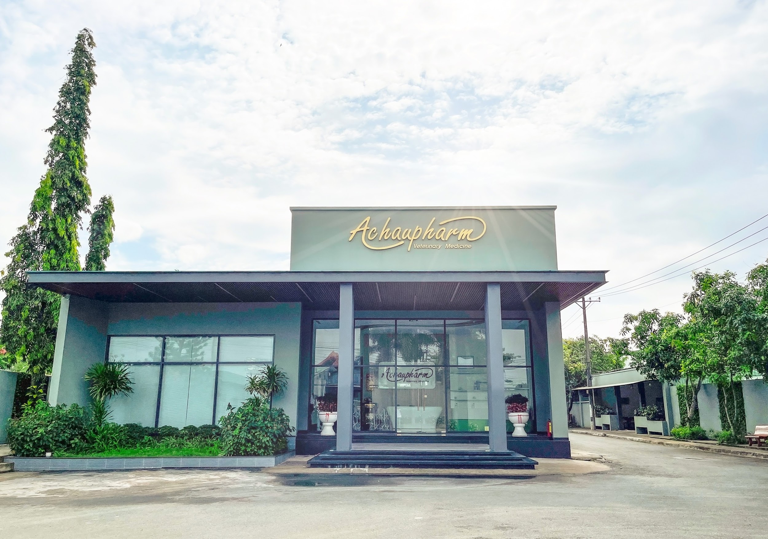 Văn phòng Achaupharm