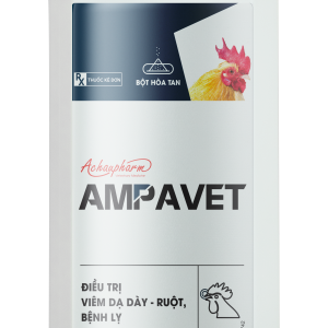 AMPAVET - Điều trị viêm dạ dày - ruột, bệnh lỵ