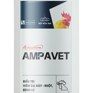AMPAVET - Điều trị viêm dạ dày - ruột, bệnh lỵ