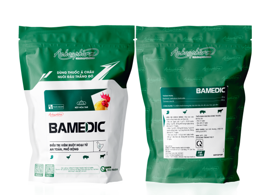 BAMEDIC - Điều trị viêm ruột hoại tử, an toàn, phổ rộng